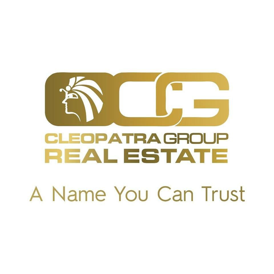 Developer Logo