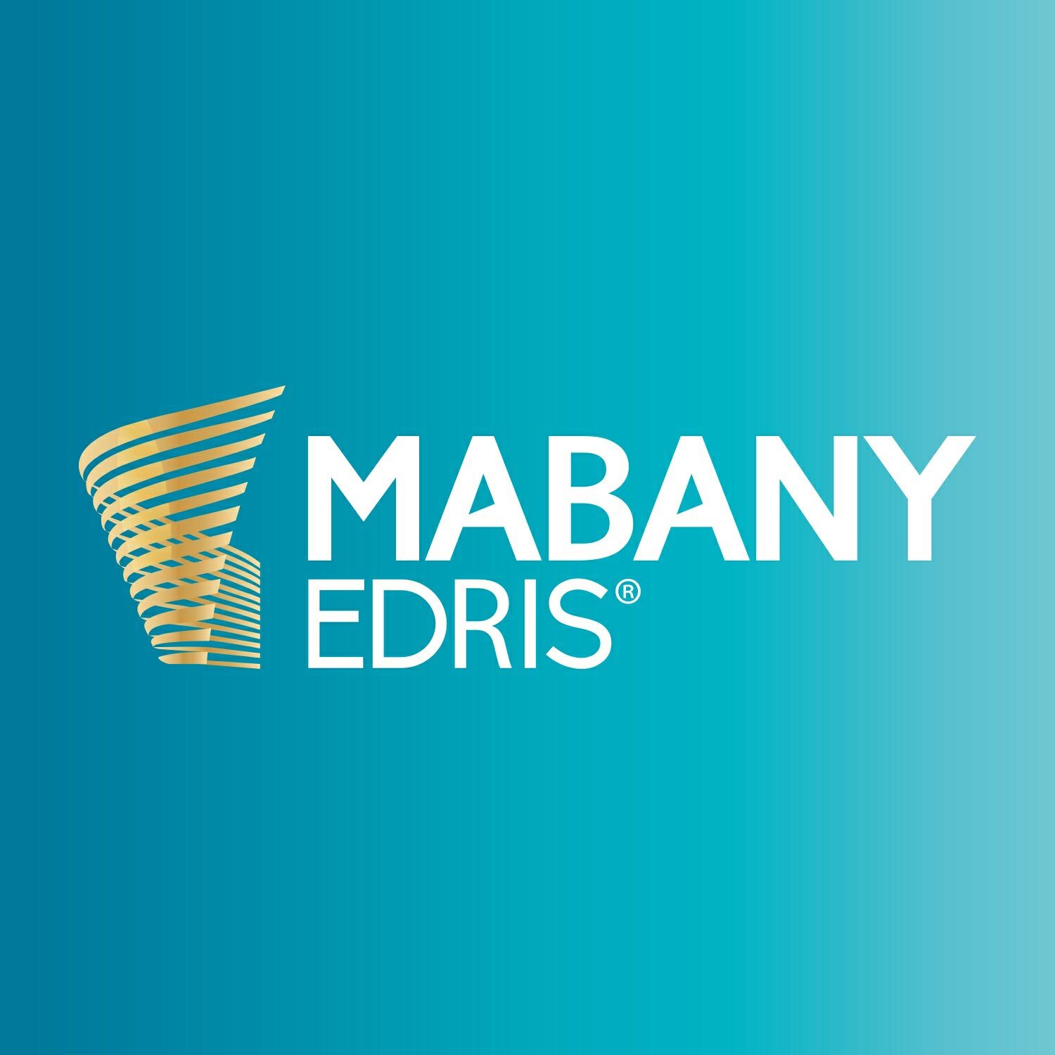 Developer Logo