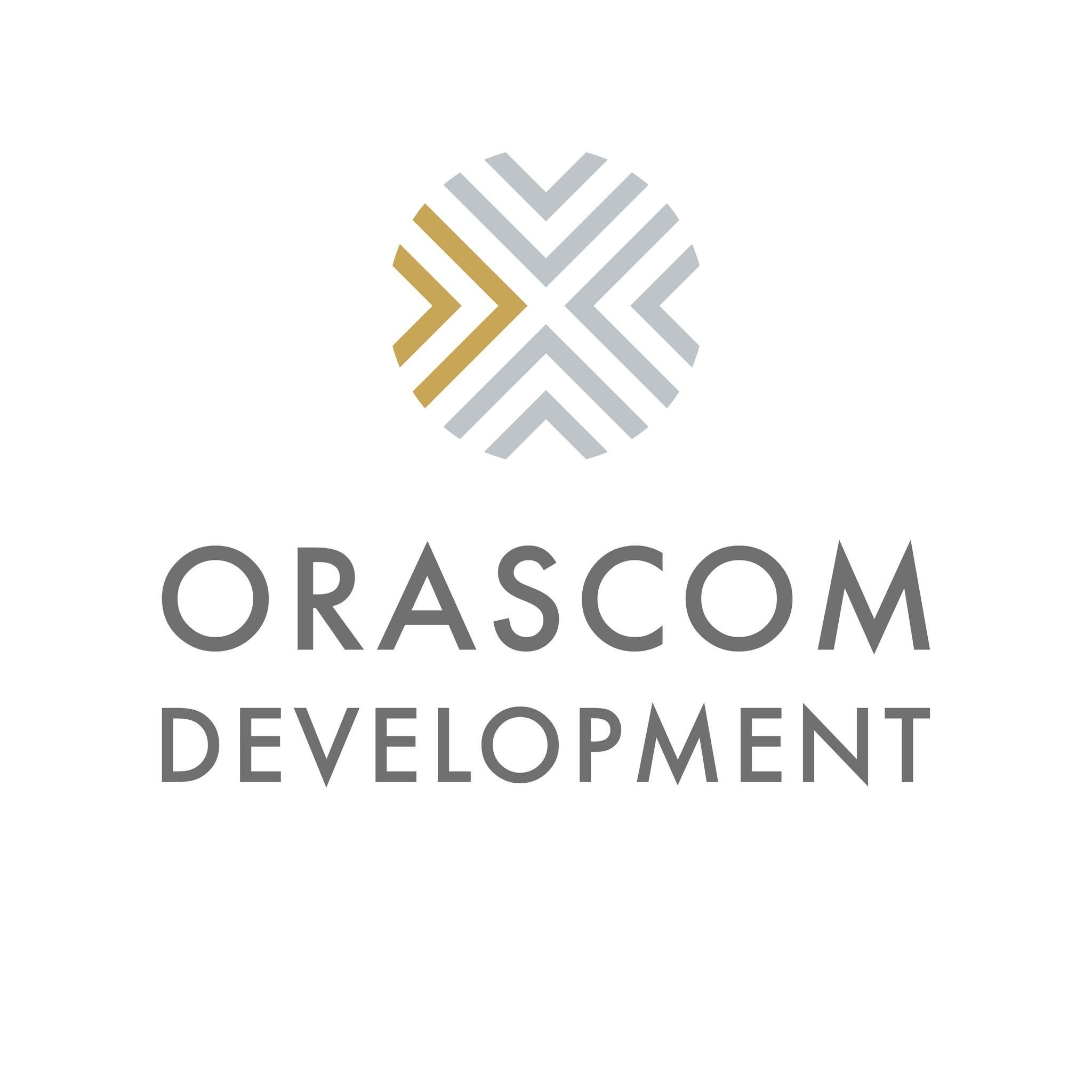 Developer Logo