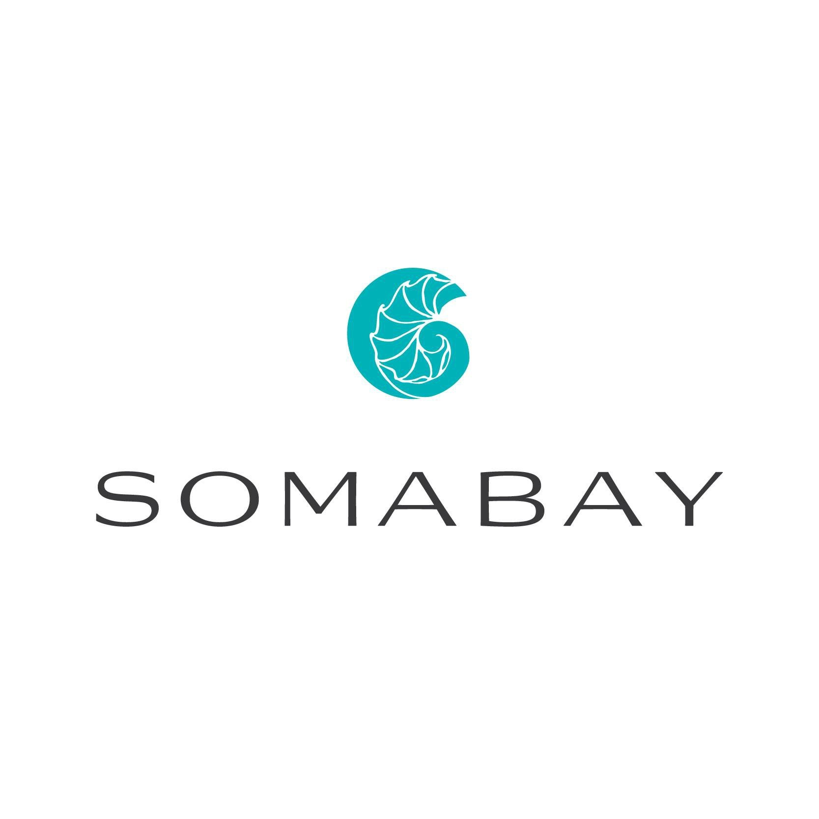 Developer Logo