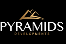 Developer Logo